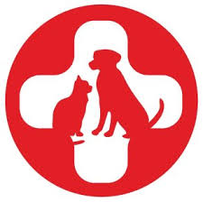 Ben Garelick and SPCA Join Forces for National Pet Day