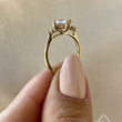 Load image into Gallery viewer, Ben Garelick Princess Cut Compass Set Moonglow Diamond Engagement Ring
